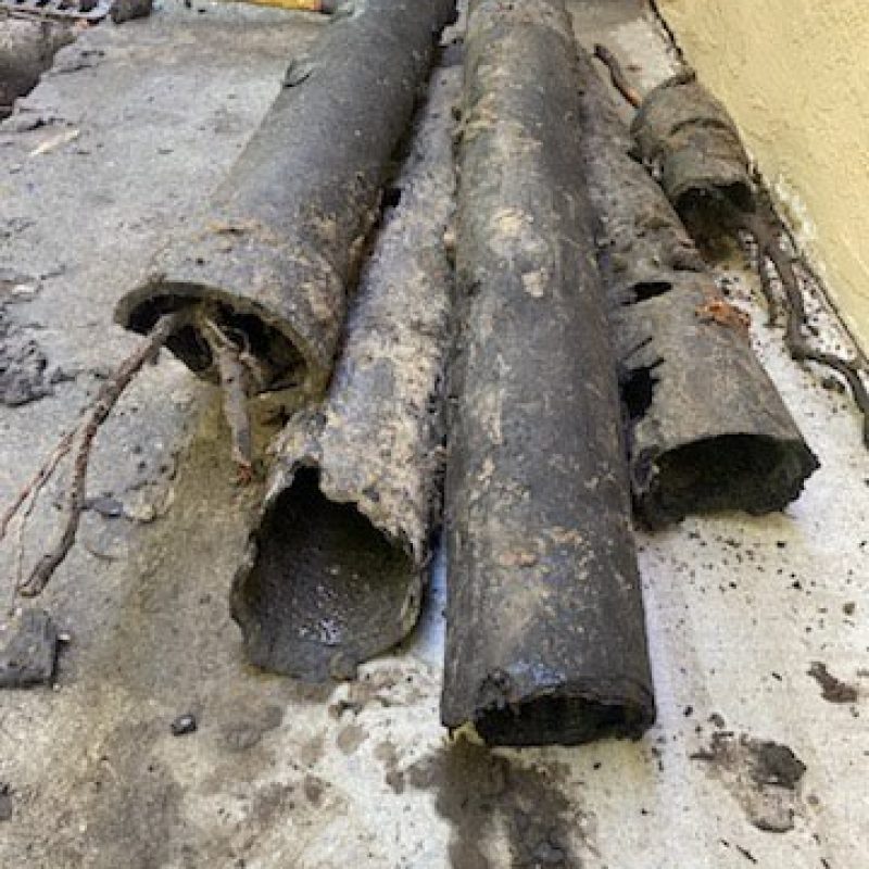 20250915162008_7-1b8470bb12d4b2186b9de8d4c557996ed86b4c49-4